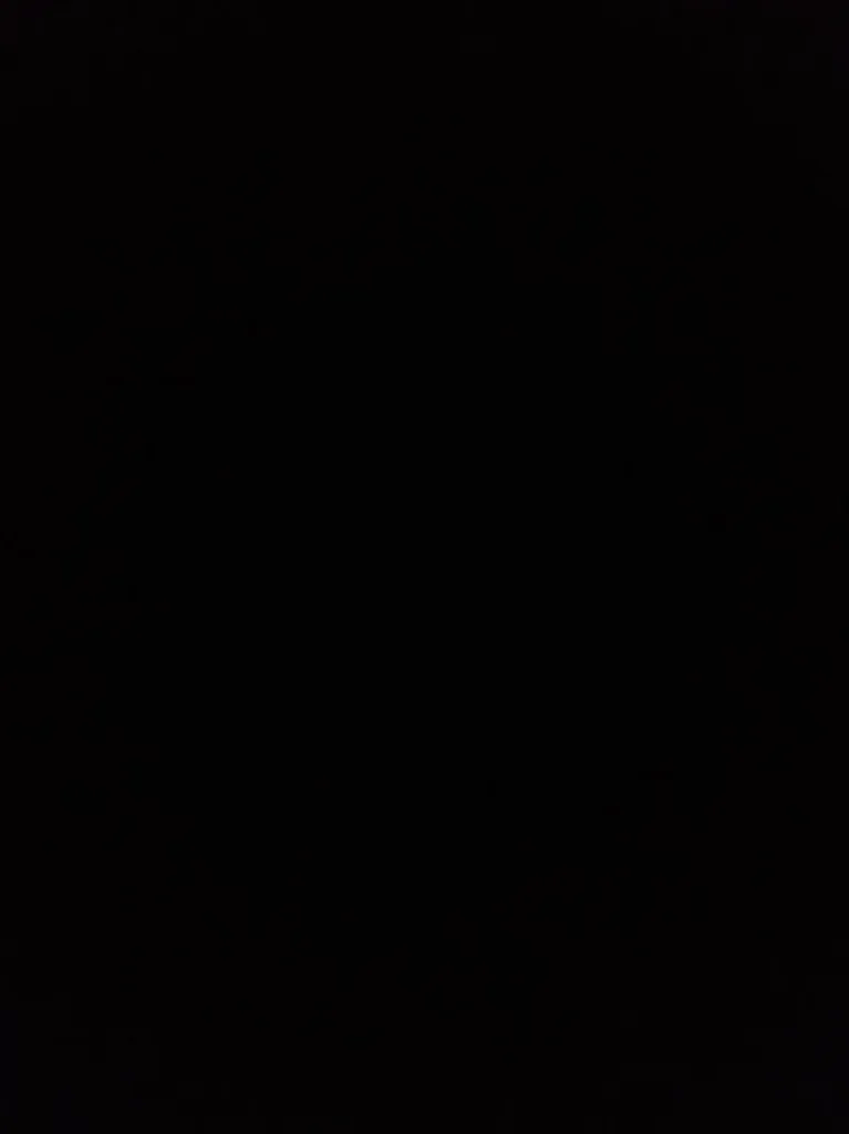 95 30 041 000788 - 4.webp